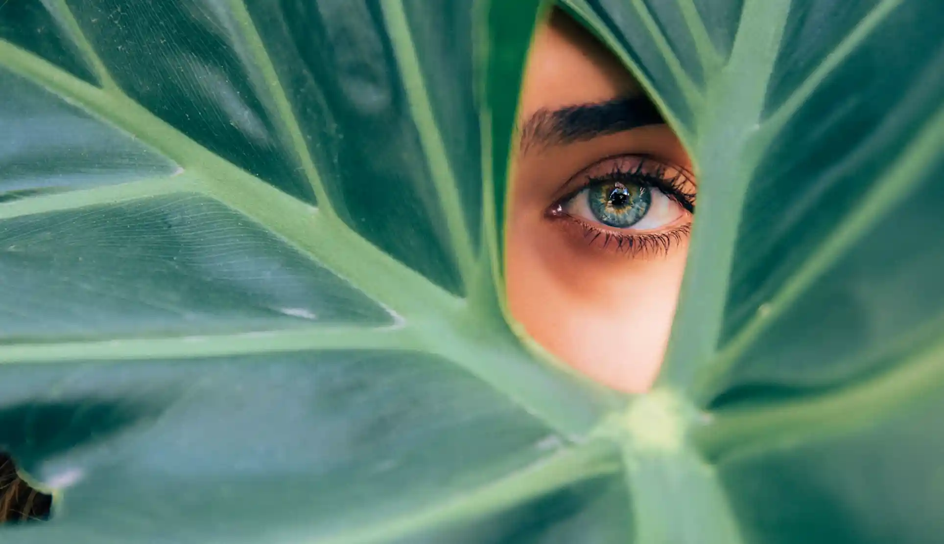 Banner Image - A holistic formula guided by your biology